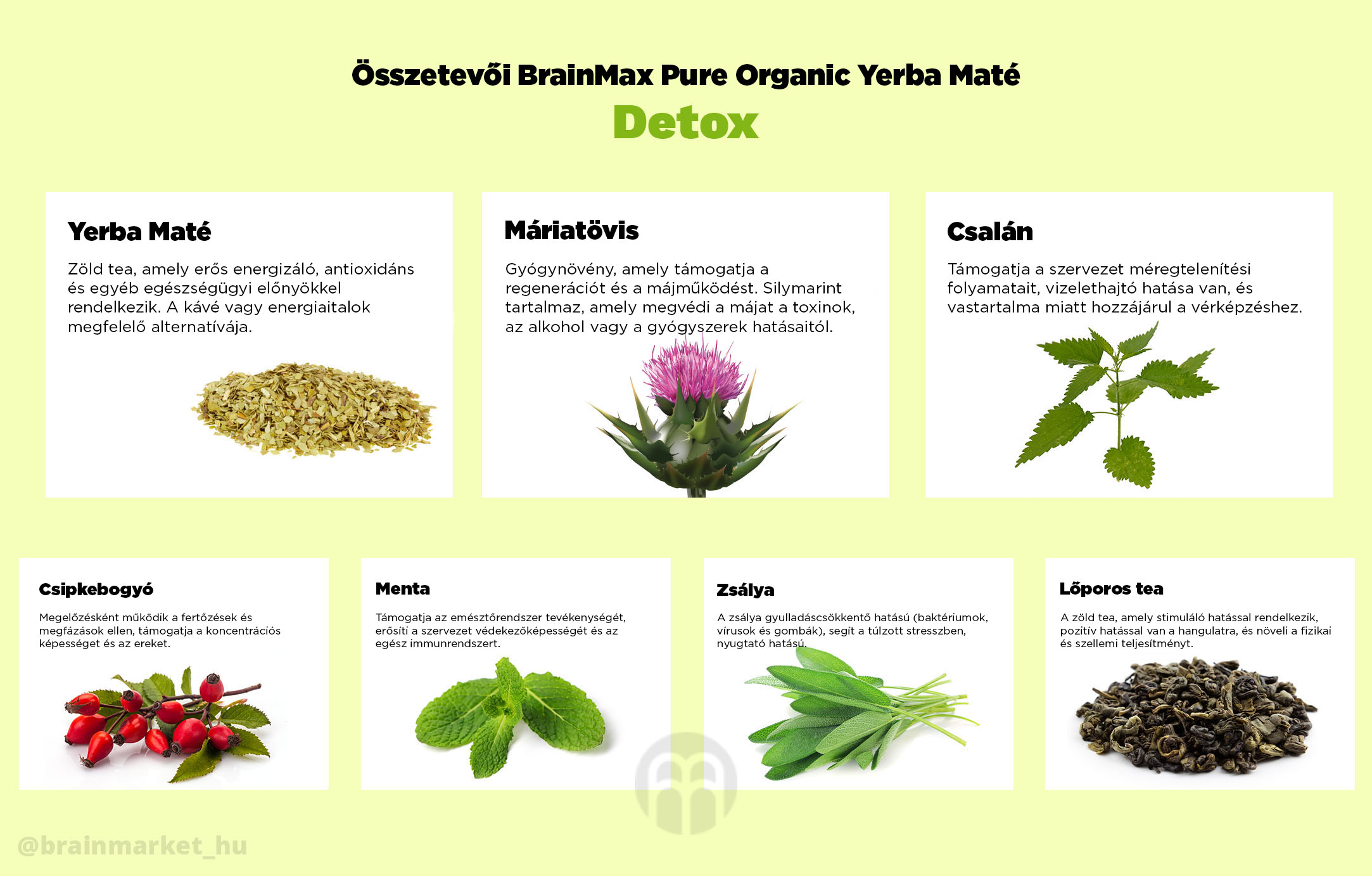 brainmax detox slozeni yerby_infografika_brainmarket_hu